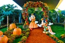 США, Лос Анджелес, Дисней 2010 "Disneyland Park California" - фото 8
