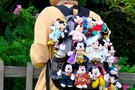 Парк развлечений в Японии Токио, Дисней Си (Disney Land, Disney Sea) - фото 34