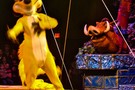 США, Орландо, Дисней Энимал Киндом  "Disney’s Animal Kingdom" - фото 22