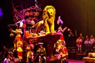 США, Орландо, Дисней Энимал Киндом  "Disney’s Animal Kingdom" - фото 14