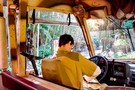 США, Орландо, Дисней Энимал Киндом  "Disney’s Animal Kingdom" - фото 12