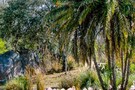США, Орландо, Дисней Энимал Киндом  "Disney’s Animal Kingdom" - фото 25