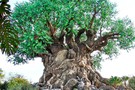 США, Орландо, Дисней Энимал Киндом  "Disney’s Animal Kingdom" - фото 1