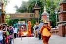 США, Орландо, Дисней Энимал Киндом  "Disney’s Animal Kingdom" - фото 46