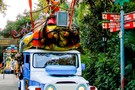 США, Орландо, Дисней Энимал Киндом  "Disney’s Animal Kingdom" - фото 28