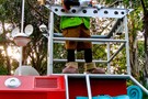 США, Орландо, Дисней Энимал Киндом  "Disney’s Animal Kingdom" - фото 10