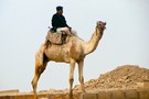 Тур Египет (Шарм-Эль-Шейх и Каир) - фото 18