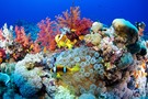 Тур Египет (Шарм-Эль-Шейх и Каир) - фото 3