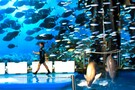 Отдых в Испании, Барселона, Валенсия, Пеньискола  - фото 29