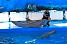 Отдых в Испании, Барселона, Валенсия, Пеньискола  - фото 44