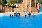 Париж, парк Астерикс и Обеликс 2014 "Parc Asterix" - фото 14