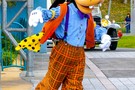 Париж, Голливуд Студия 2012 "Disney Hollywood Studios" - фото 20