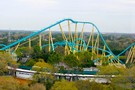 США, Орландо, парк Си Ворлд (Морской мир Орландо) "SeaWorld Orlando" - фото 25