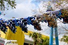 США, Орландо, парк Си Ворлд (Морской мир Орландо) "SeaWorld Orlando" - фото 24