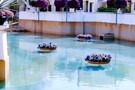США, Орландо, парк Си Ворлд (Морской мир Орландо) "SeaWorld Orlando" - фото 32