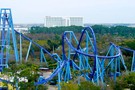 США, Орландо, парк Си Ворлд (Морской мир Орландо) "SeaWorld Orlando" - фото 28