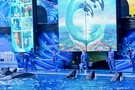 США, Орландо, парк Си Ворлд (Морской мир Орландо) "SeaWorld Orlando" - фото 33