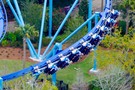 США, Орландо, парк Си Ворлд (Морской мир Орландо) "SeaWorld Orlando" - фото 22