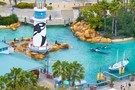 США, Орландо, парк Си Ворлд (Морской мир Орландо) "SeaWorld Orlando" - фото 23