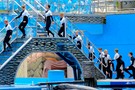 США, Орландо, парк Си Ворлд (Морской мир Орландо) "SeaWorld Orlando" - фото 26