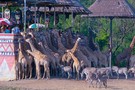 Отдых в Таиланде, Бангкок - фото 45