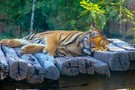 Отдых в Таиланде, Бангкок - фото 30