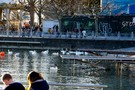 Тур в Швейцарию, Женева, Лозанна, Монтре, Веве - фото 47