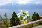 Тур в Швейцарию, Женева, Лозанна, Монтре, Веве - фото 51