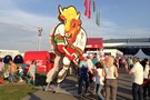 Беларусь, Минск, Чемпионат Мира по хоккею 2014 - фото 11