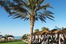 Фото отеля Constantinou Bros-Athena Royal Beach Hotel 5* - фото 31