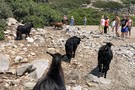 Директорский рекламный тур "География" Даламан 2018 - фото 70