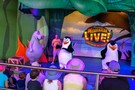 Тур Австралия, Дрим Ворлд 2014 "Dream World" (Мир грез) - фото 50