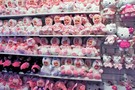 Тур Австралия, Дрим Ворлд 2014 "Dream World" (Мир грез) - фото 49