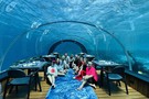 Директорский тур на Мальдивы 2024 - фото 18