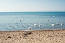 Директорский тур Крым 2021 - фото 17