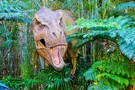 Студия Юниверсал "Universal Studios"Парк развлечений, США Орландо - фото 36