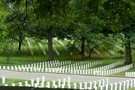 Тур в США, Вашингтон 2013 - фото 32