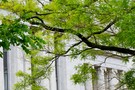 Тур в США, Вашингтон 2013 - фото 37