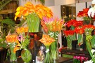 Тур в Японию, Токио, Камакура  - фото 24